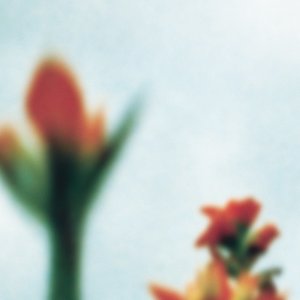The Fragile Instrumentals
