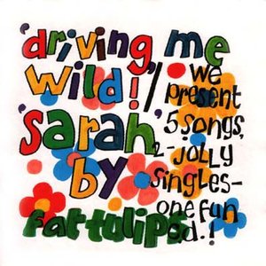 Driving Me Wild! / Sarah