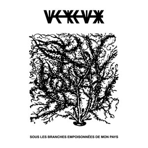 Sous les branches empoisonnées de mon pays