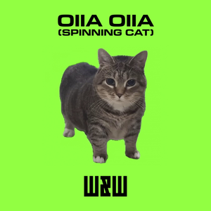 OIIA OIIA (Spinning Cat)