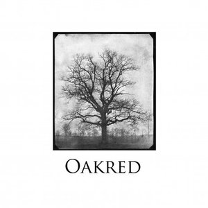 Oakred 的头像