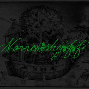 Narrenshyff 的头像