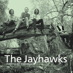 the Jayhawks - Tomorrow The Green Grass Lyrics - Zortam Music