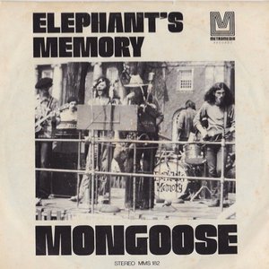 Mongoose