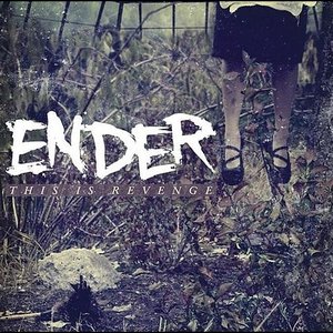 Ender爀 的头像