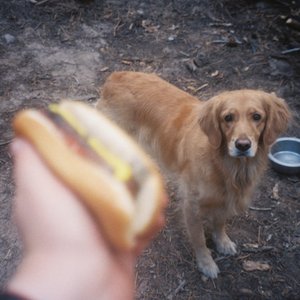 Triple Dog Dare!