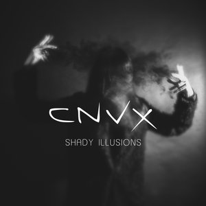 “Shady Illusions”的封面