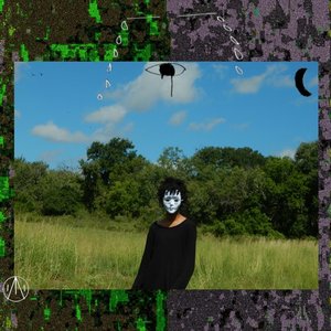 The Training cover