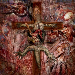 Squamata [Explicit]