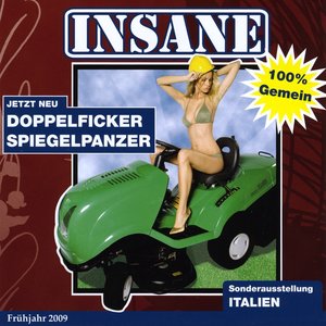 Doppelfickerspiegelpanzer