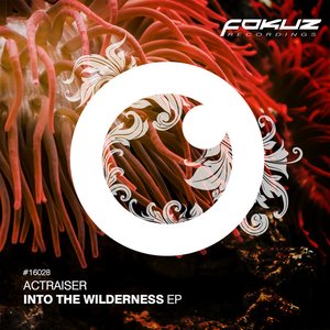 Into The Wilderness EP