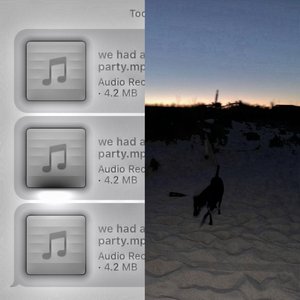 We had a Party - Single