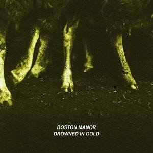 Drowned in Gold - Single