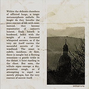 Lungs Full of Catkins - Single