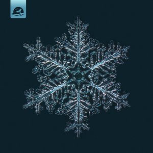 Snowflake (feat. Naomi Alzingre) - Single