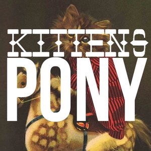 Pony