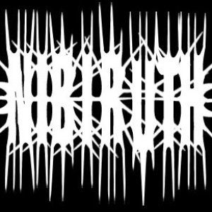 Nibiruth 的头像