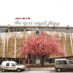 The Next Small Thing