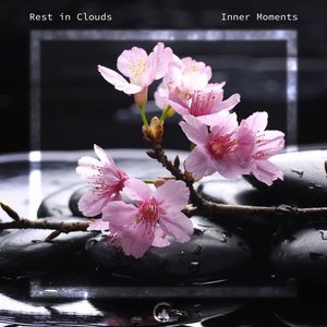 Inner moments
