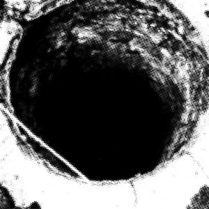 The Thin White Puke 的头像