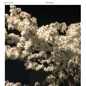 Vents - Single