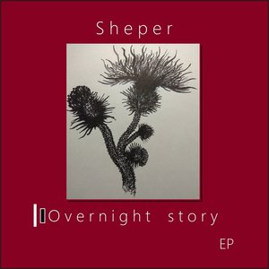 Overnight Story