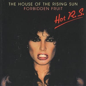 House of the Rising Sun cover