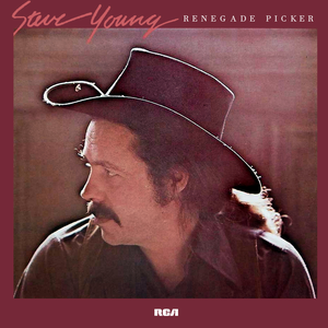 Steve Young - Light of My Life Lyrics - Zortam Music