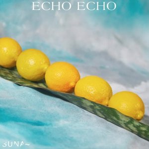 Echo echo