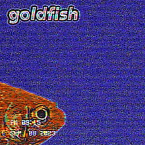 Goldfish - Single