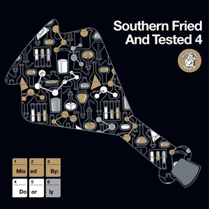 Southern Fried & Tested 4 (Sampler)