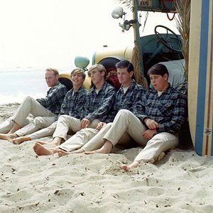 Avatar for The Beach Boys