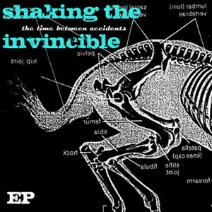 Shaking the Invincible 的头像