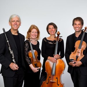 Ardinghello Ensemble 的头像