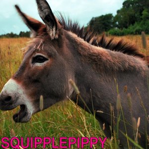 Squipplepippy