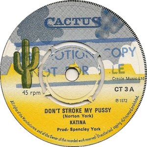 Don't Stroke My Pussy