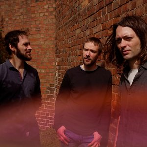 Awatar dla Mammal Hands