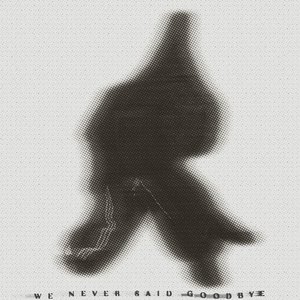 WE NEVER SAID GOODBYE