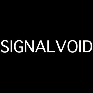 SIGNALVOID 的头像