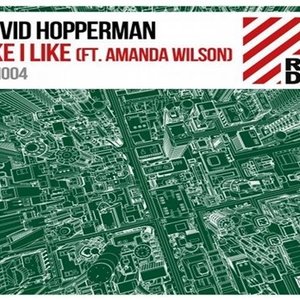David Hopperman feat. Amanda Wilson 的头像
