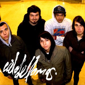 Cielodellamas 的头像