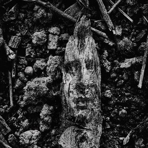 Nymphea Alba 的头像