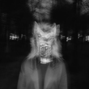 Wolves and Mirrors