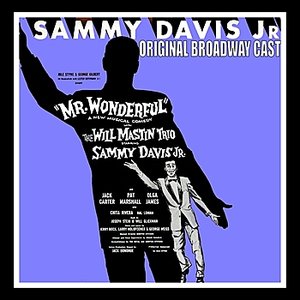 Mr. Wonderful (Original Broadway Cast)