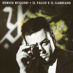 Il falco e il gabbiano