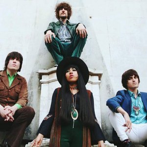 Green Seagull 的头像