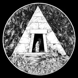 The Ebony Void