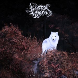 Lobo Blanco