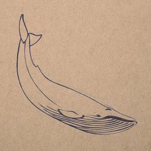 The Whale Demo