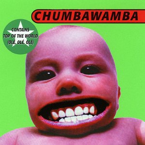 Chumbawamba - 1 - Tubthumping Lyrics - Zortam Music